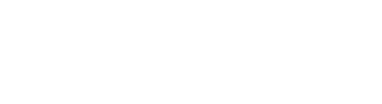 Text logo 2 (light)